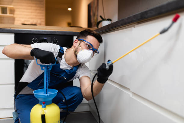 Best Bed Bug Extermination  in Green Valley, SD