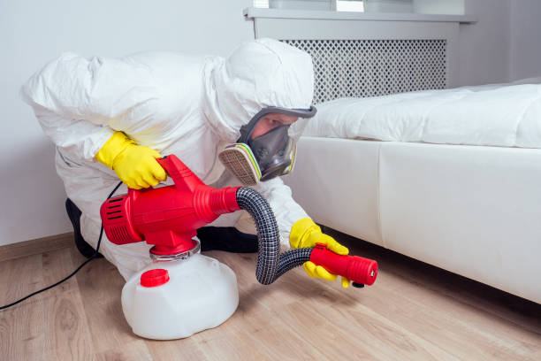 Best Affordable Pest Control Services  in Green Valley, SD
