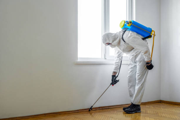Best Exterminator Services  in Green Valley, SD