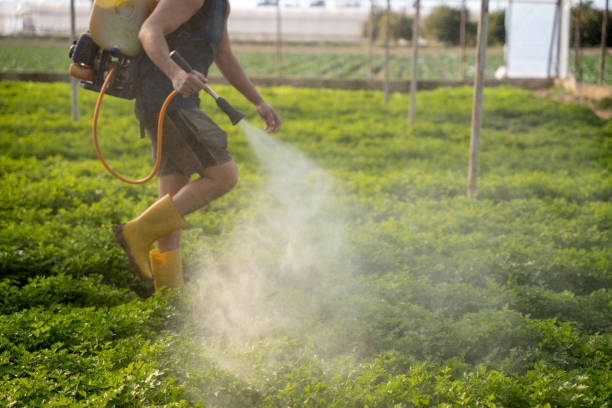 Best Residential Pest Control  in Green Valley, SD