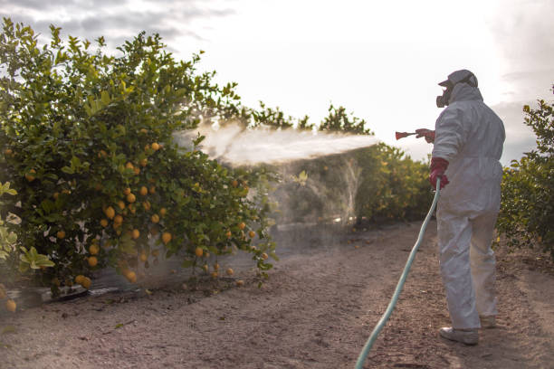 Best Residential Pest Control  in Green Valley, SD