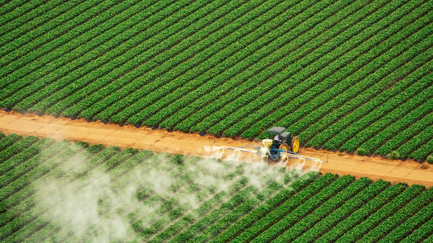 Best Pest Control for Homes  in Green Valley, SD