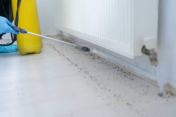 Best Commercial Pest Control Services  in Green Valley, SD