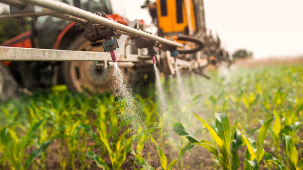 Best Local Pest Control Services  in Green Valley, SD